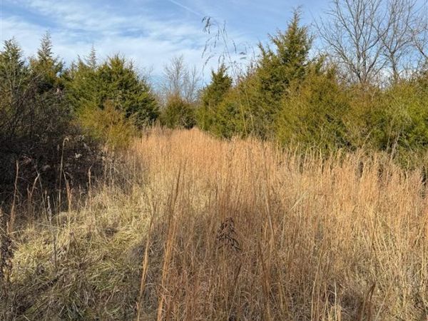 7890 Warsaw Road, Dry Ridge, KY 41035