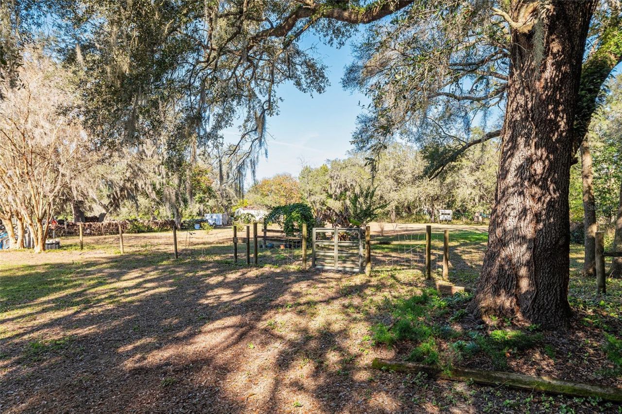 14755 SE 180th Street, Weirsdale, FL 32195 Photo