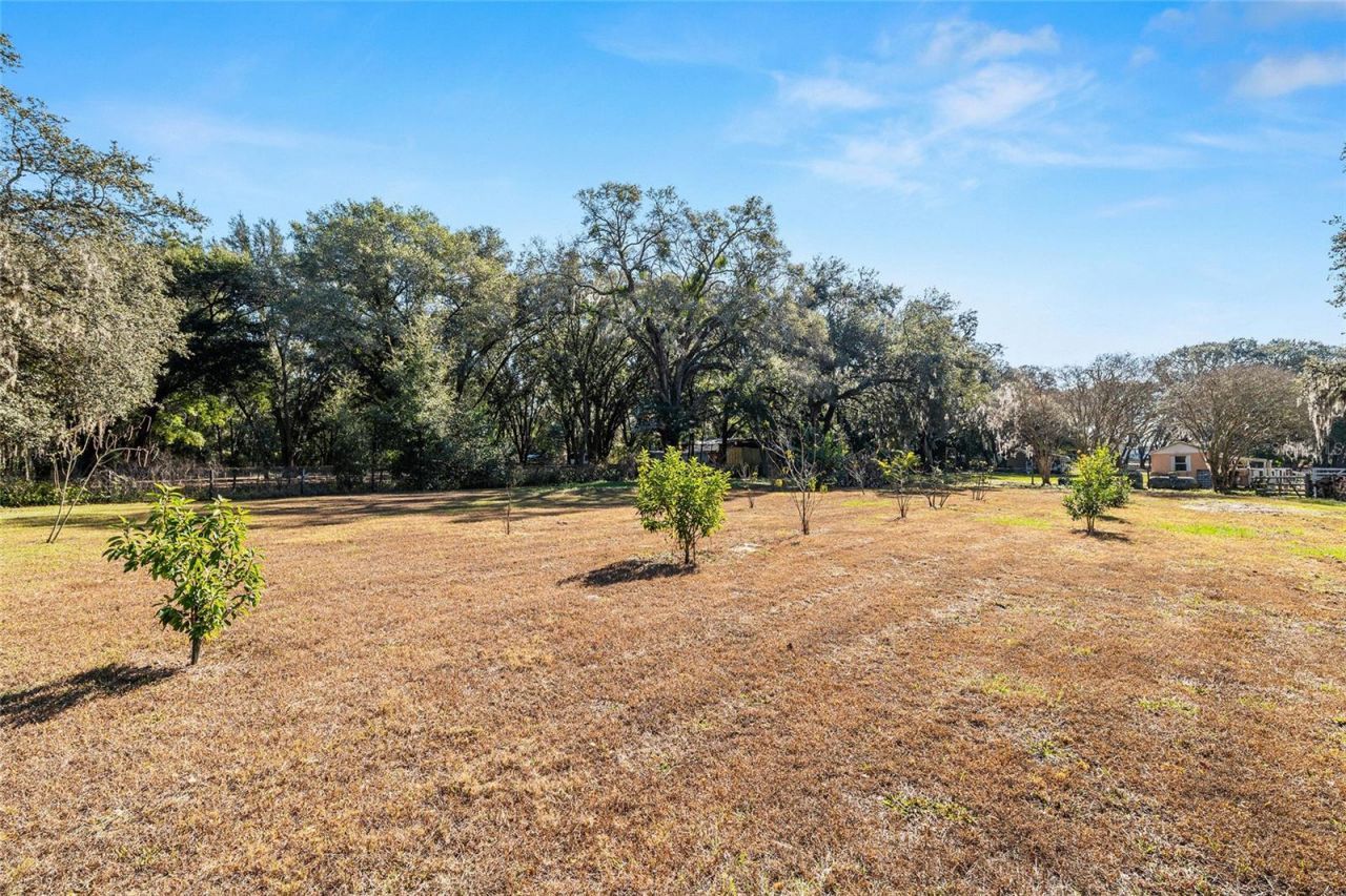 14755 SE 180th Street, Weirsdale, FL 32195 Photo