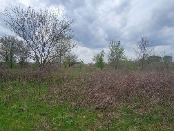 0 Federal Road, Orient, OH 43146