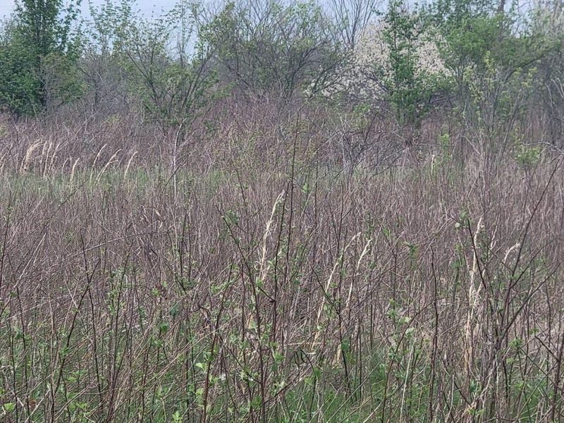 0 Federal Road, Orient, OH 43146 Photo 16
