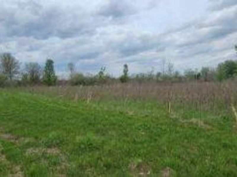 0 Federal Road, Orient, OH 43146 Photo 17