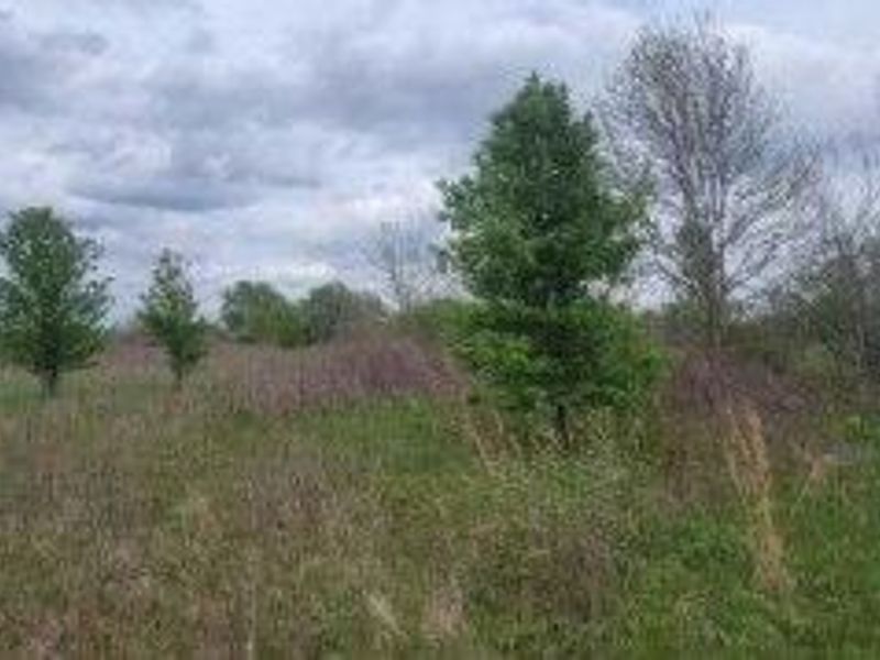 0 Federal Road, Orient, OH 43146 Photo 19