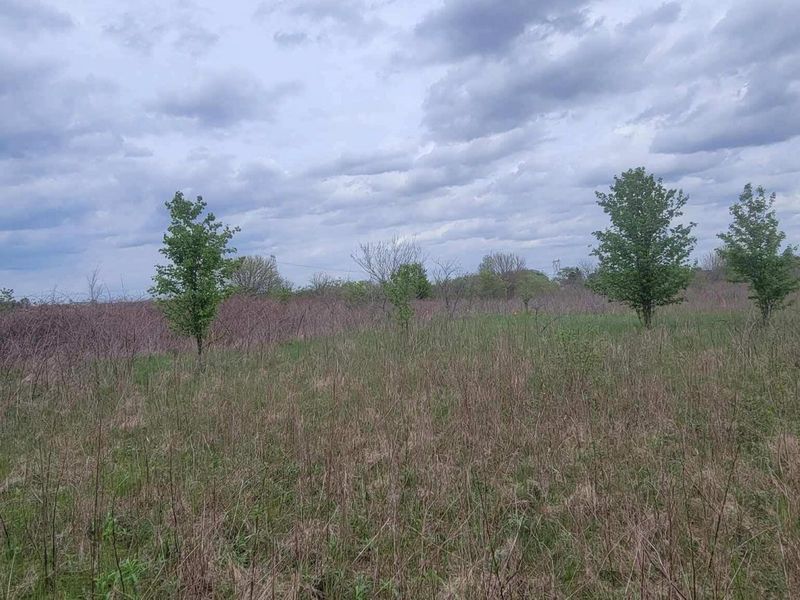 0 Federal Road, Orient, OH 43146 Photo 21