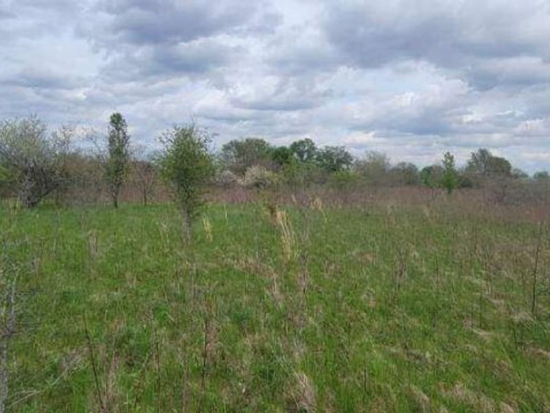 0 Federal Road, Orient, OH 43146 Photo 25