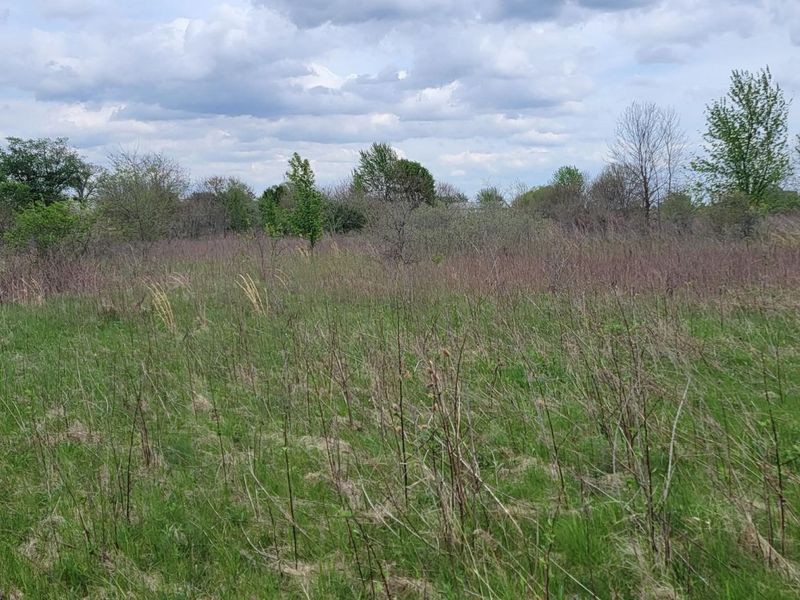 0 Federal Road, Orient, OH 43146 Photo 27