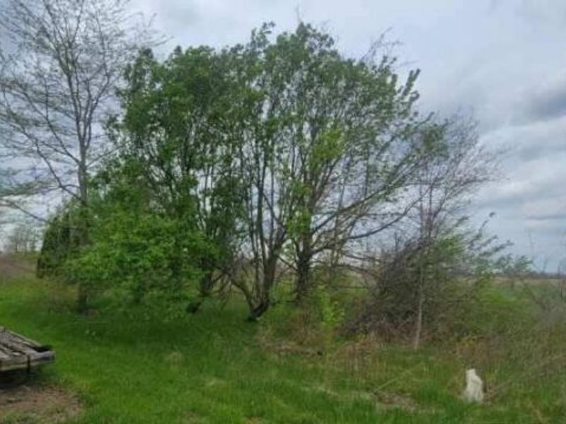 0 Federal Road, Orient, OH 43146 Photo 3
