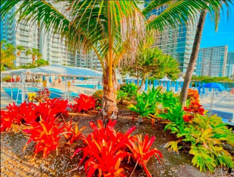 2030 S Ocean Dr, Unit 506, Hallandale Beach, FL 33009 Photo