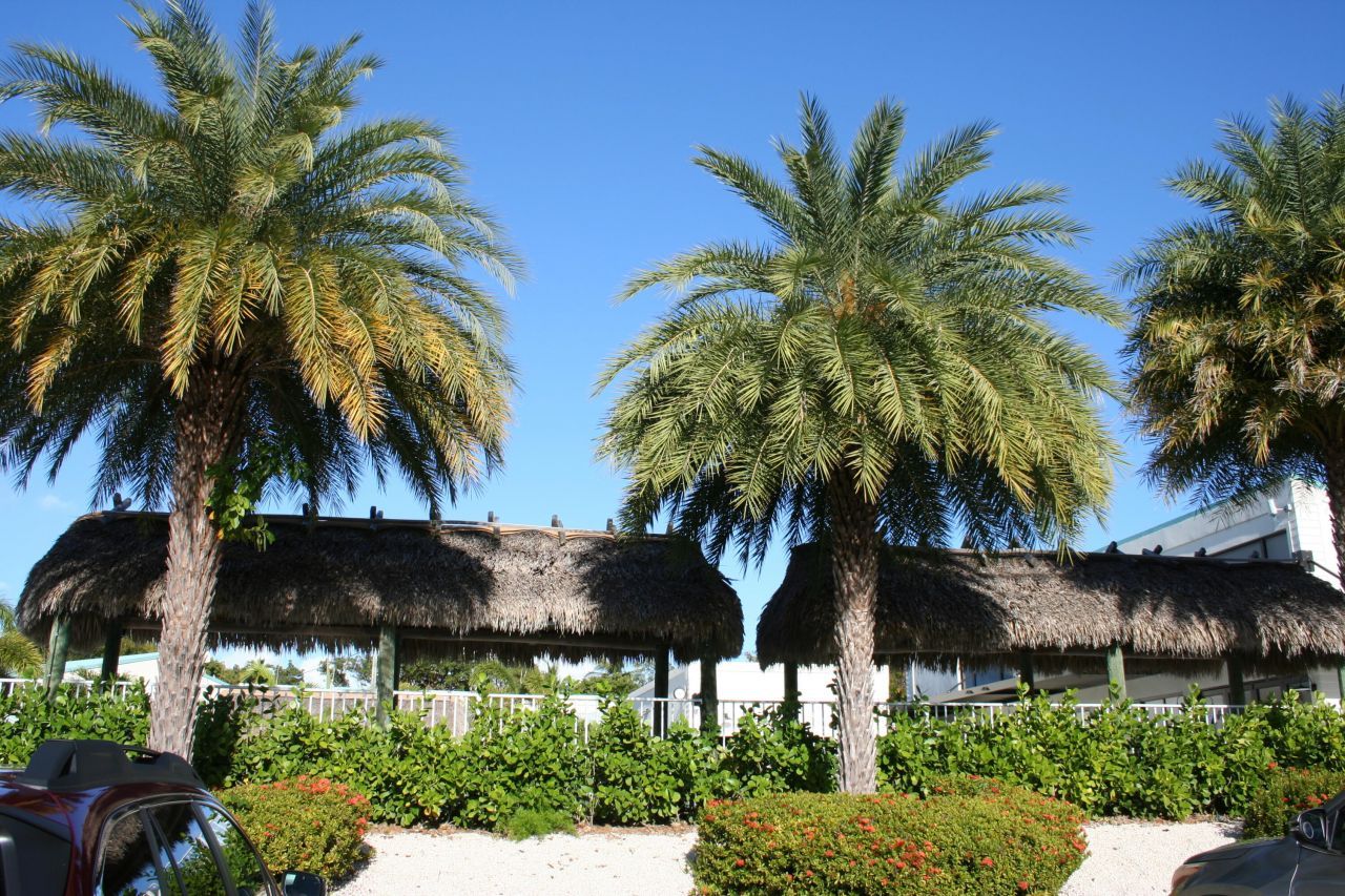 87200 N Overseas Highway, Unit N2, Islamorada, FL 33036 Photo