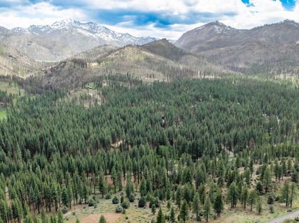 17 Raymond View Road, Markleeville, CA 96120 Photo