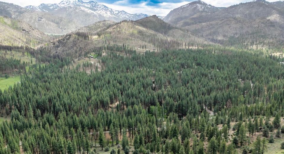 17 Raymond View Road, Markleeville, CA 96120 Photo