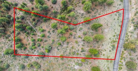 17 Raymond View Road, Markleeville, CA 96120 Photo