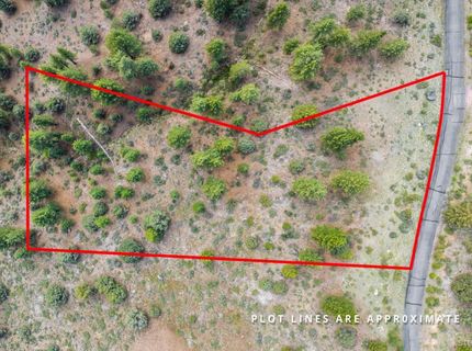 17 Raymond View Road, Markleeville, CA 96120 Photo