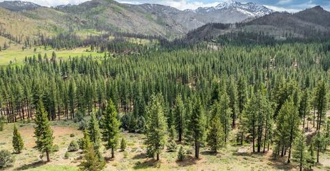 17 Raymond View Road, Markleeville, CA 96120 Photo