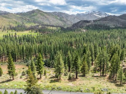 17 Raymond View Road, Markleeville, CA 96120 Photo