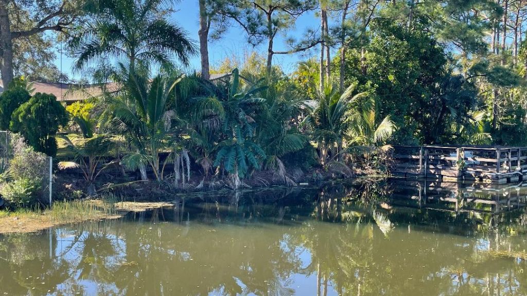 798 NW Selvitz Road, Port Saint Lucie, FL 34983 Photo