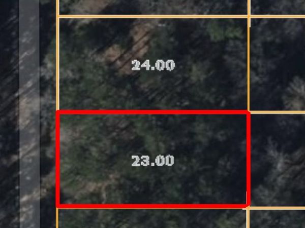 200 Dogwood Dr, Saulsbury, TN 38067