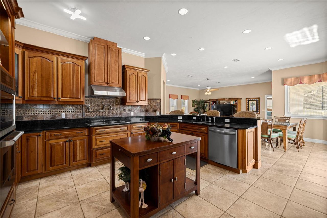 6081 W Pell Place, Dunnellon, FL 34433 Photo