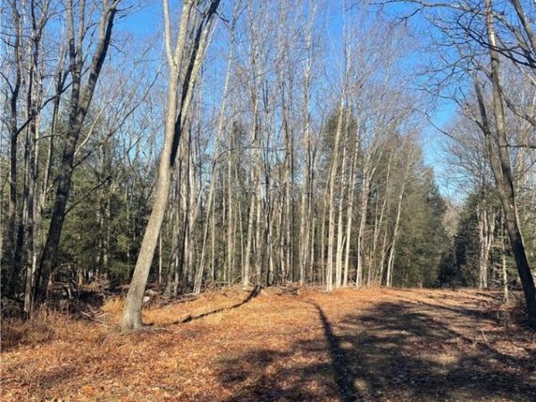 0 Mason Dixon Hwy, Salisbury, PA 15558