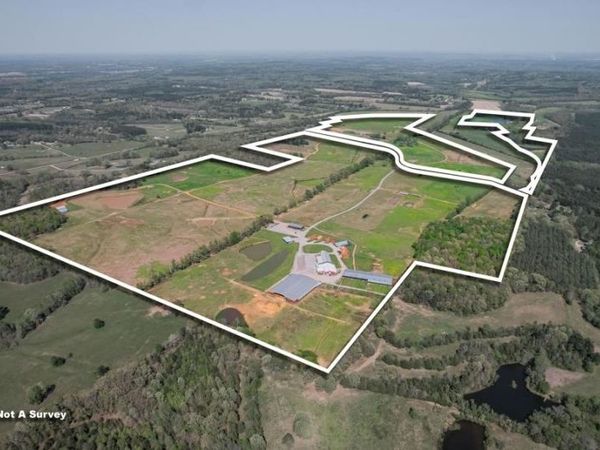 833 N Prather Road , Michie, TN 38357