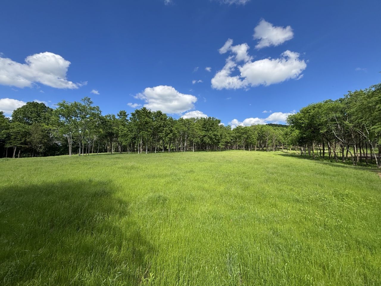 9205 Bowles Rd, Rockvale, TN 37153 Main Photo