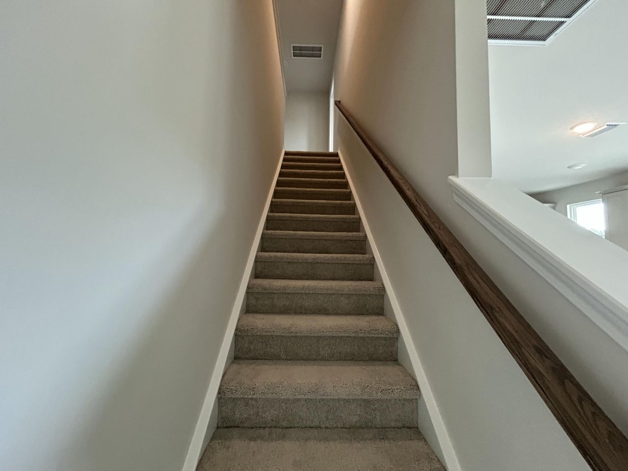 4019 Lemon Grass Lane Photo 17