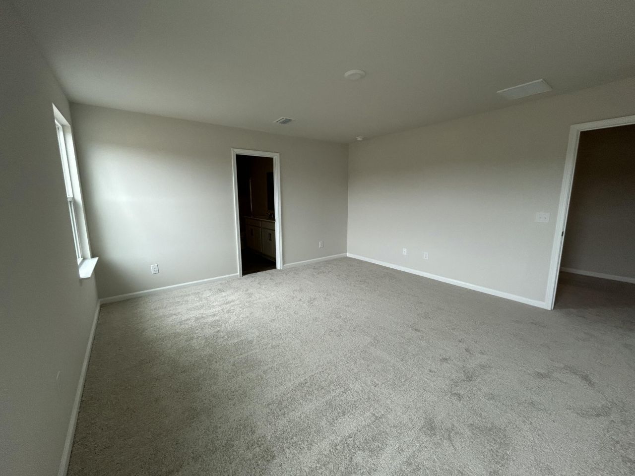 4019 Lemon Grass Lane Photo 20