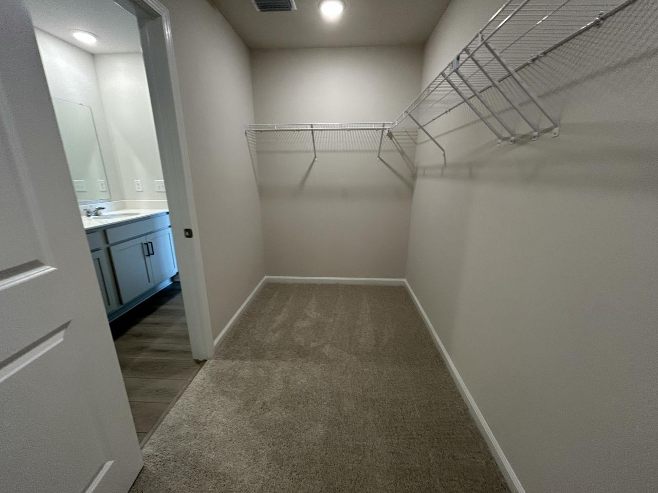 4019 Lemon Grass Lane Photo 23