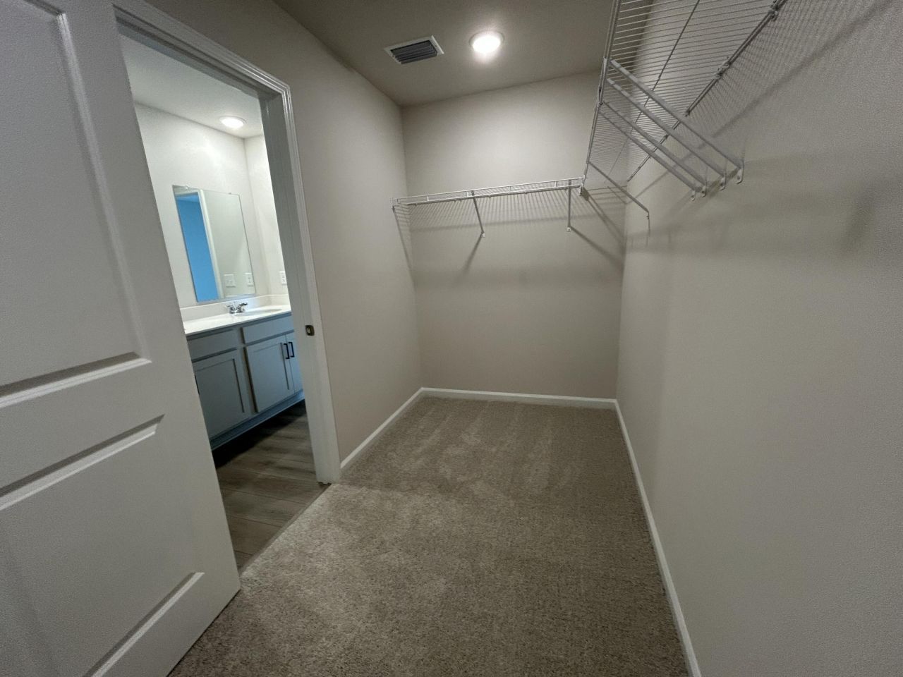 4019 Lemon Grass Lane Photo 24