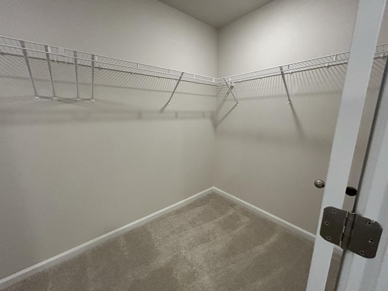 4019 Lemon Grass Lane Photo 25