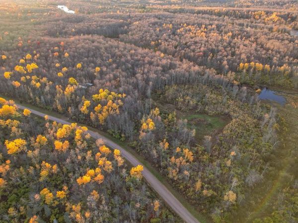 Lot 14 SCOUT TRAIL, Ojibwa, WI 54862