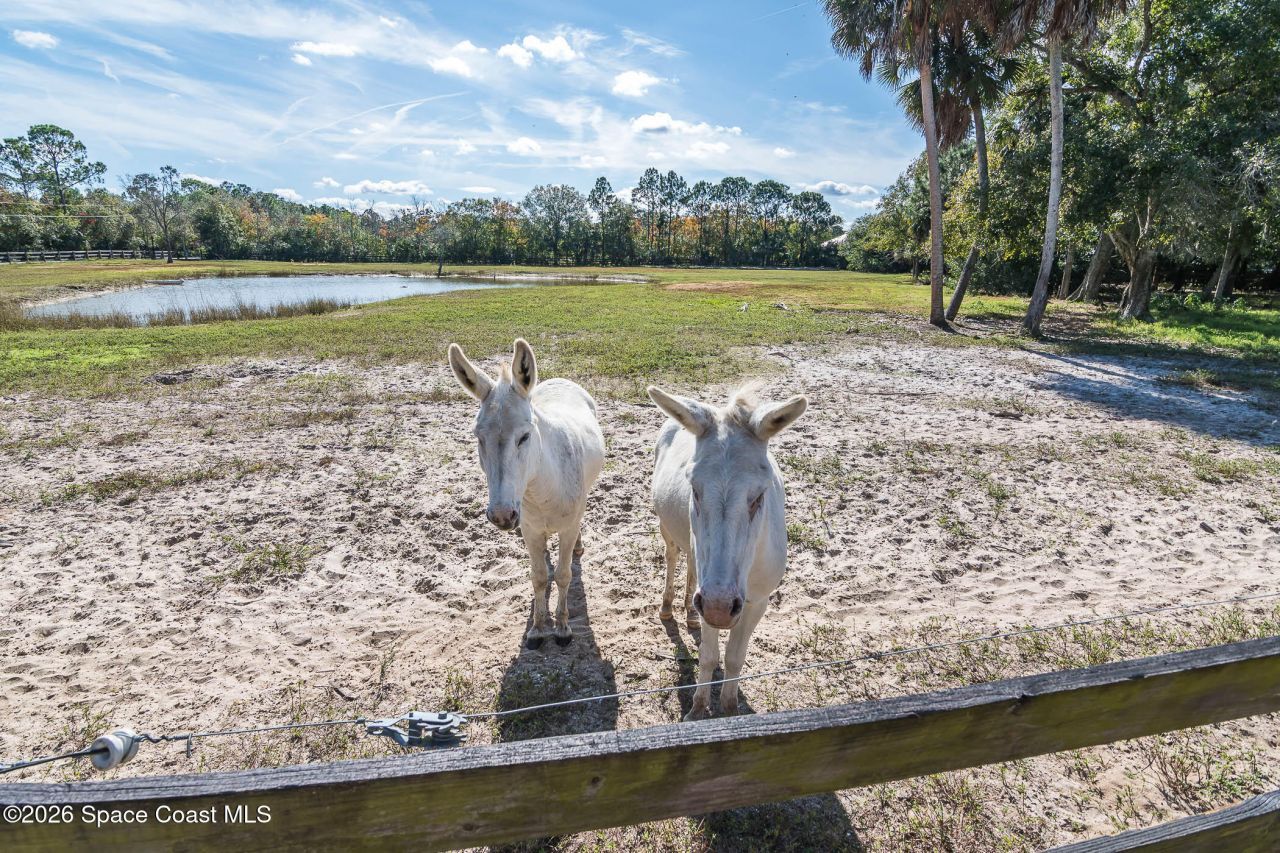 5101 Craig Road, Cocoa, FL 32926 Photo