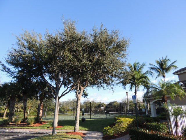 4452 Lake Tahoe Circle, West Palm Beach, FL 33409 Photo