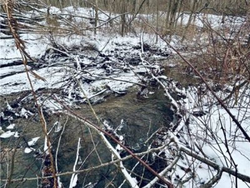 Auburn Road, Newbury, OH 44065 Photo 10