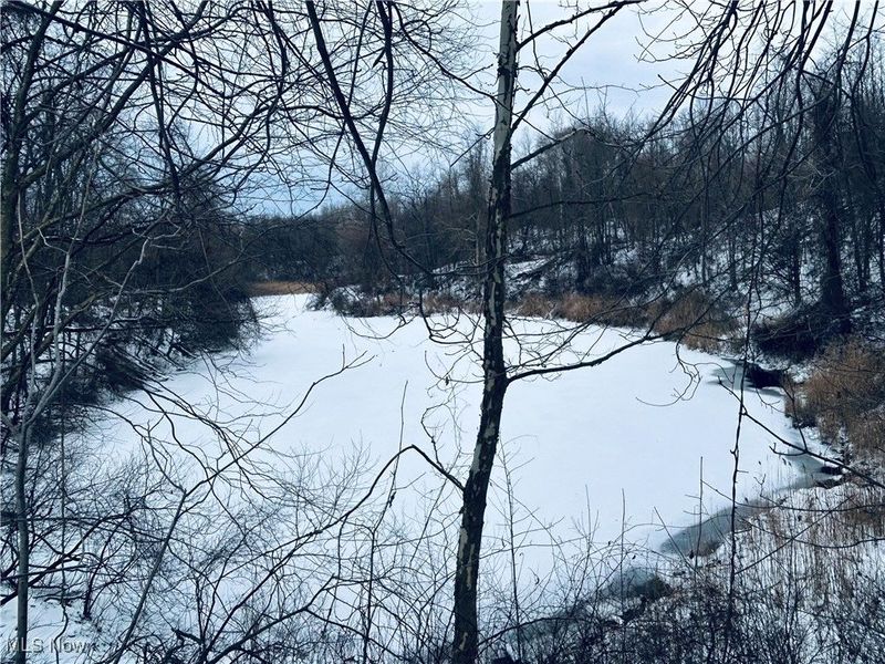 Auburn Road, Newbury, OH 44065 Photo 11