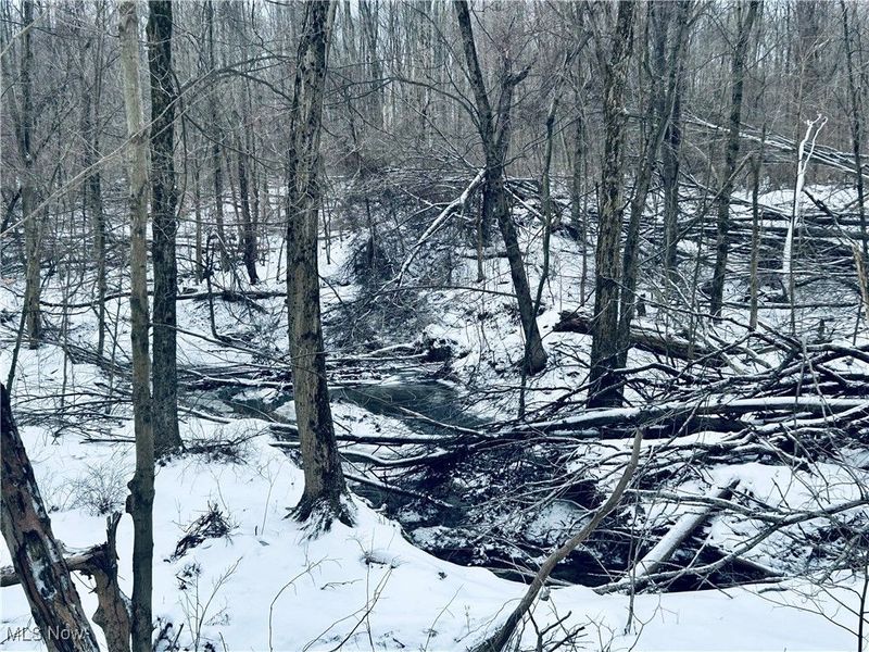 Auburn Road, Newbury, OH 44065 Photo 12