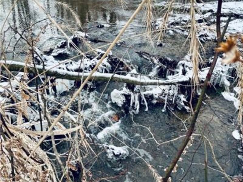 Auburn Road, Newbury, OH 44065 Photo 13