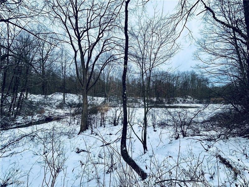 Auburn Road, Newbury, OH 44065 Photo 14