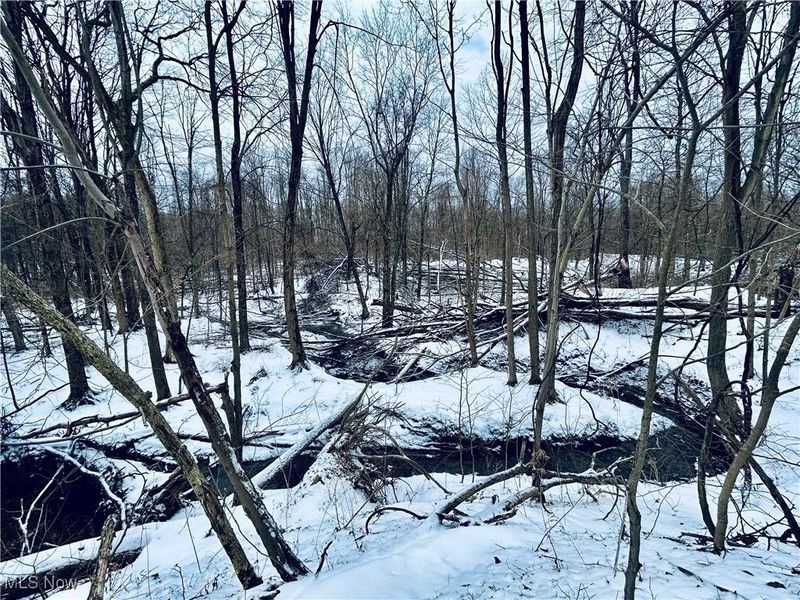 Auburn Road, Newbury, OH 44065 Photo 15