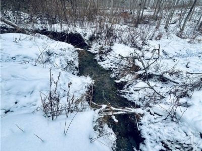 Auburn Road, Newbury, OH 44065 Photo 16