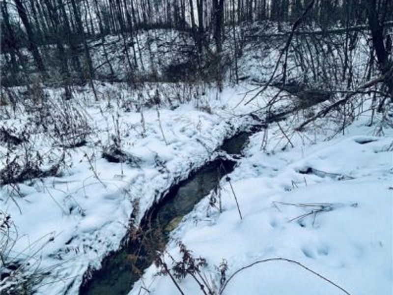 Auburn Road, Newbury, OH 44065 Photo 17