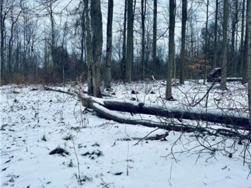 Auburn Road, Newbury, OH 44065 Photo 20