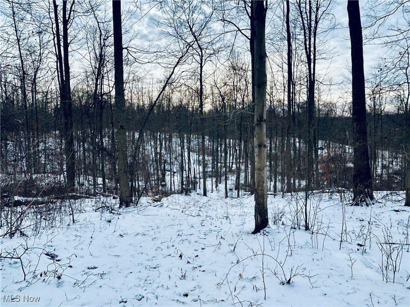 Auburn Road, Newbury, OH 44065 Photo 21