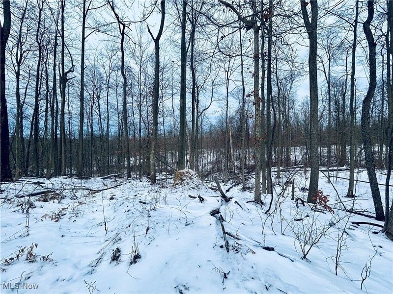 Auburn Road, Newbury, OH 44065 Photo 22