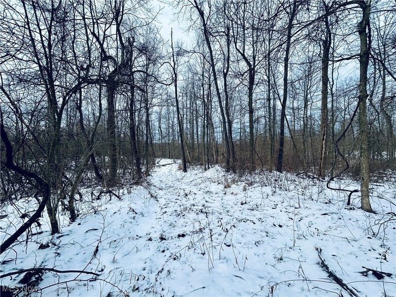 Auburn Road, Newbury, OH 44065 Photo 23