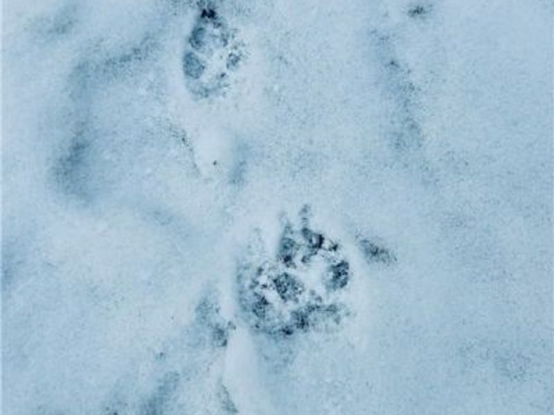 Auburn Road, Newbury, OH 44065 Photo 25