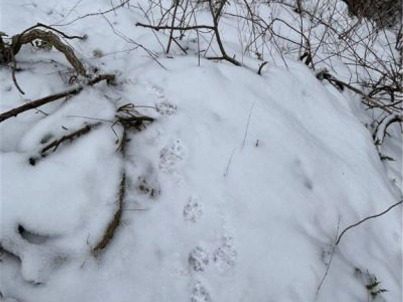 Auburn Road, Newbury, OH 44065 Photo 26