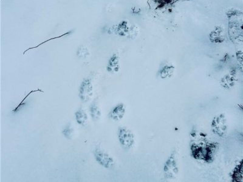 Auburn Road, Newbury, OH 44065 Photo 27