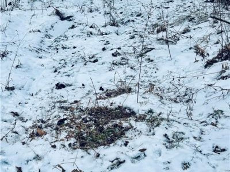 Auburn Road, Newbury, OH 44065 Photo 28