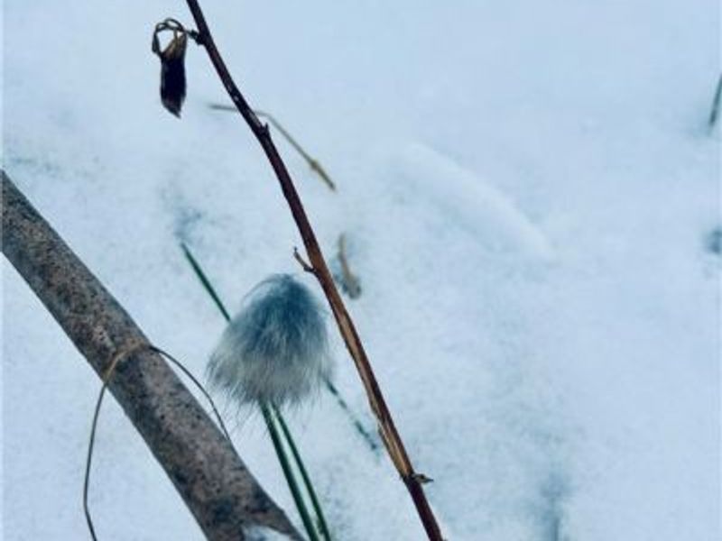 Auburn Road, Newbury, OH 44065 Photo 29